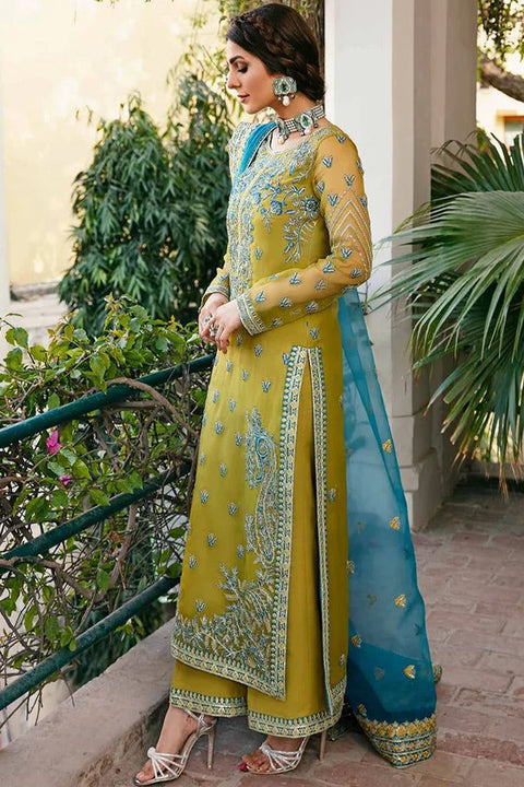 Embroidered Organza Suit