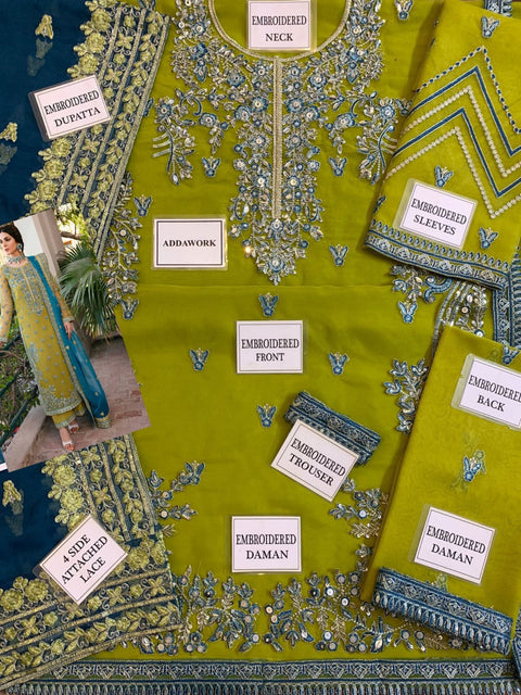 Embroidered Organza Suit